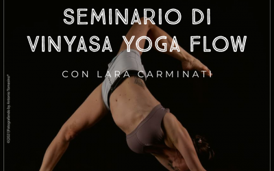 Seminario di Vinyasa Yoga Flow